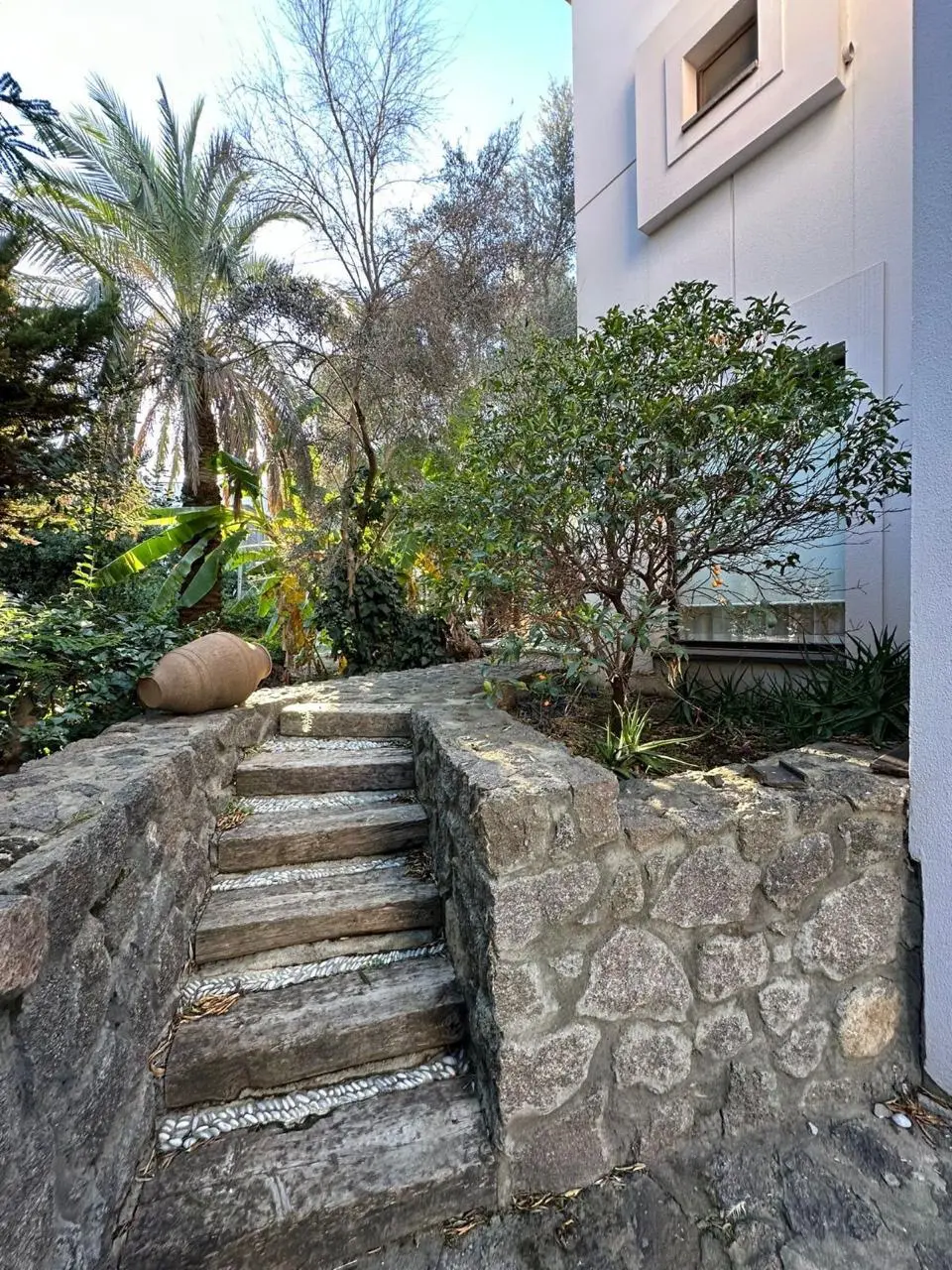 Garden area